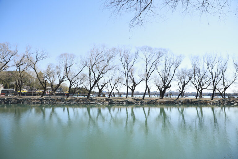 A glimpse of nature - CN9A1605